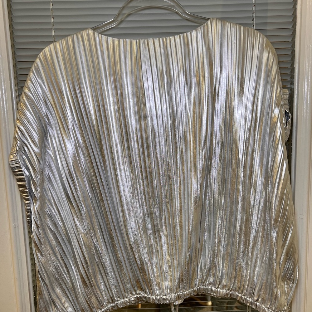 Glam Silver Pleated Women's Blouse